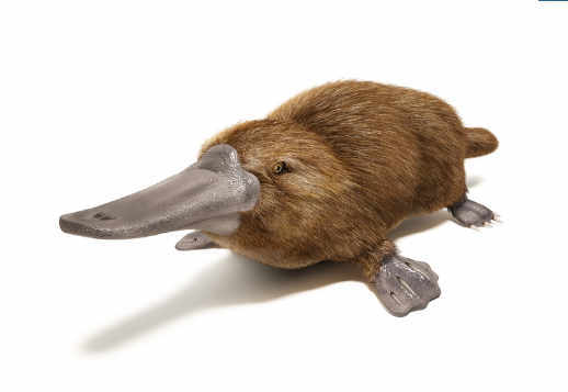 Výnimočný a nezvyčajný Vorschau